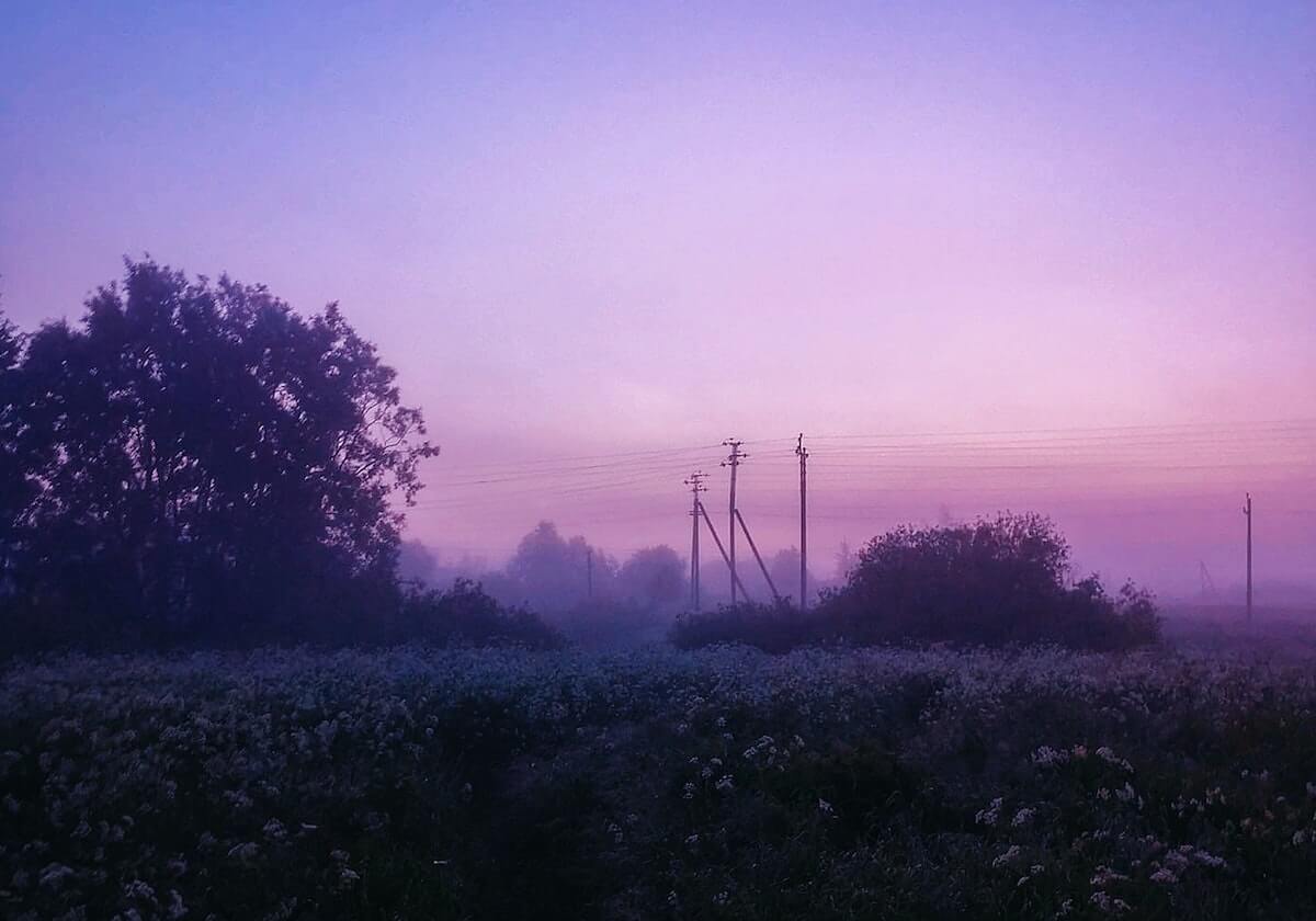 中田英寿领衔！意甲出场最多亚洲11人阵容，日本球员竟独占7席